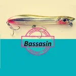 BASSASIN