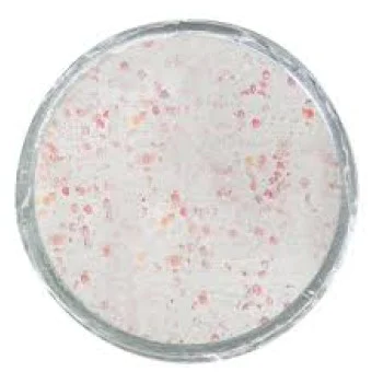 Плуваща паста за пъстърва BERKLEY Glow in the Dark Trout Bait White Glow 50g