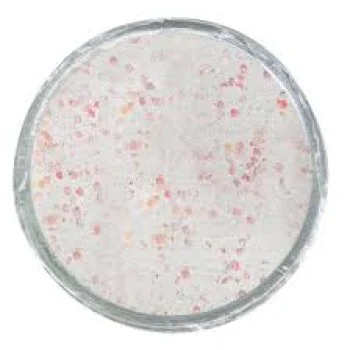 Плуваща паста за пъстърва BERKLEY Glow in the Dark Trout Bait White Glow 50g