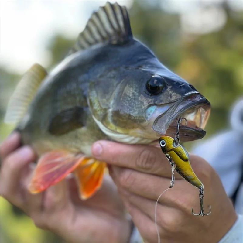 Цикада BERKLEY Powerblade 49mm 11g