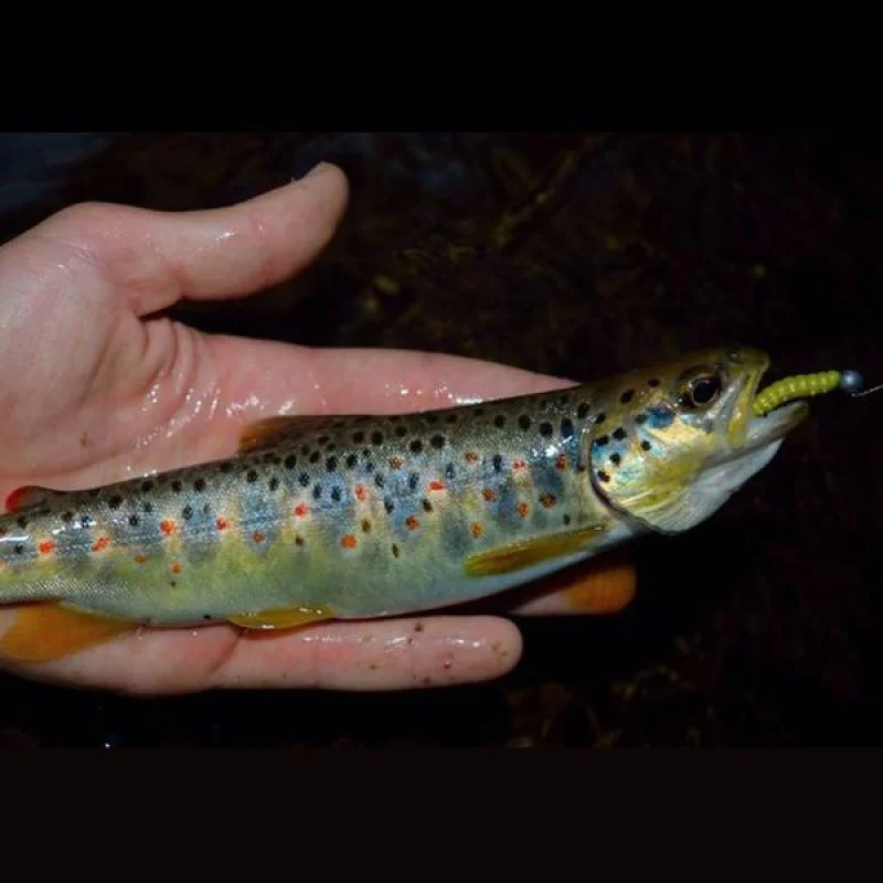 Силиконова примамка BERKLEY Powerbait Honey Worms