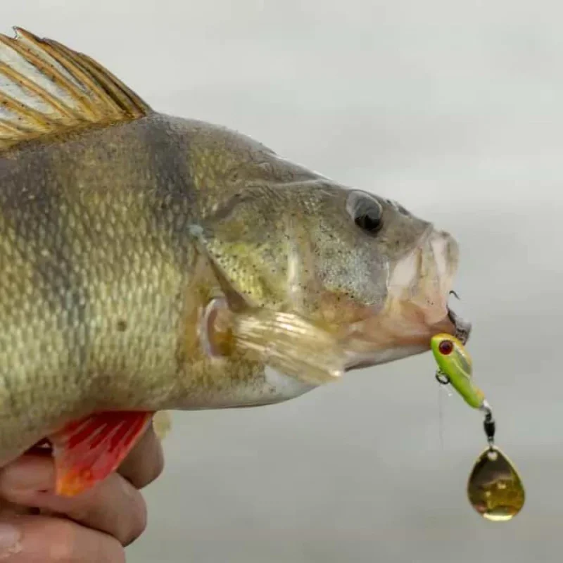 Спинър BERKLEY Pulse Spintail 9g