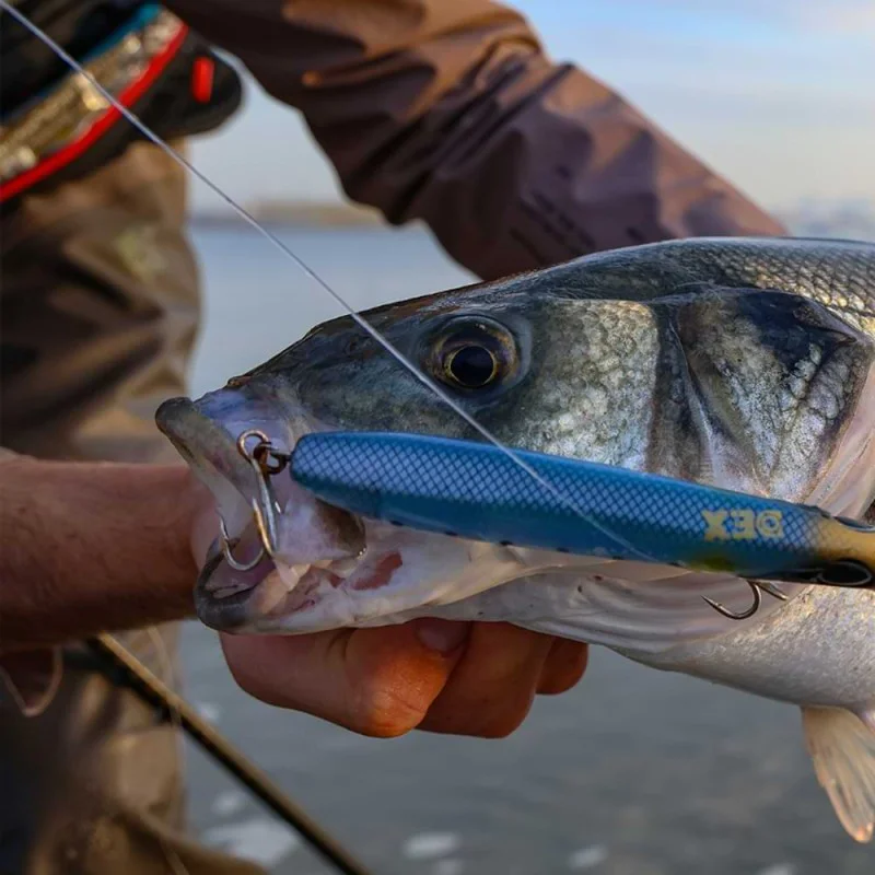 Воблер BERKLEY DEX Strider 120mm 20g Floating