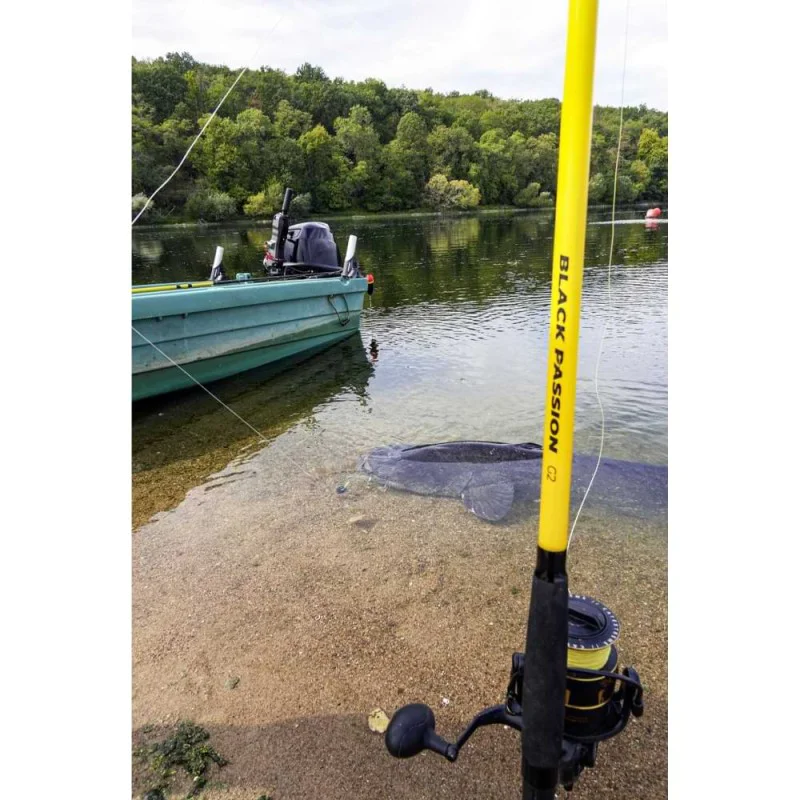 Въдица за сом BLACK CAT Black Passion G2 Allround 2.70m 600g