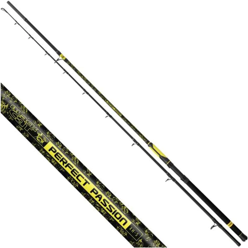 Въдица за сом BLACK CAT Perfect Passion XH-S 280cm 600g