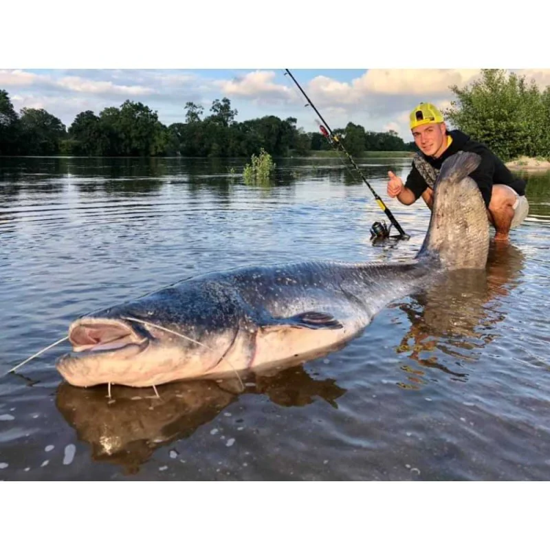 Спининг въдица BLACK CAT Perfect Passion Vertical 180cm 230g