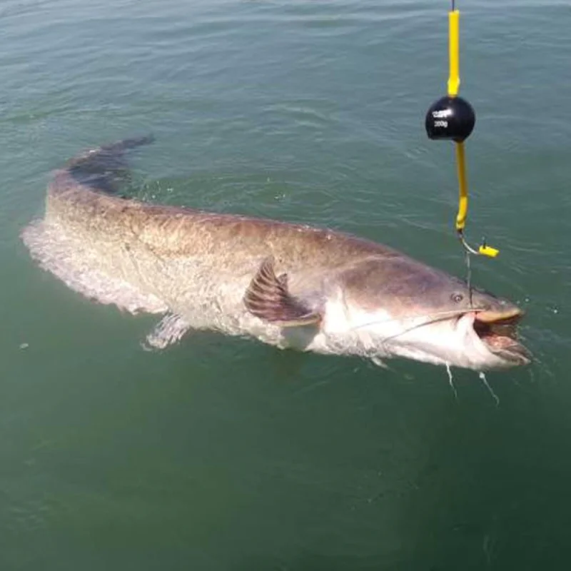 Оловна тежест BLACK CAT Cat Ball Weight Black