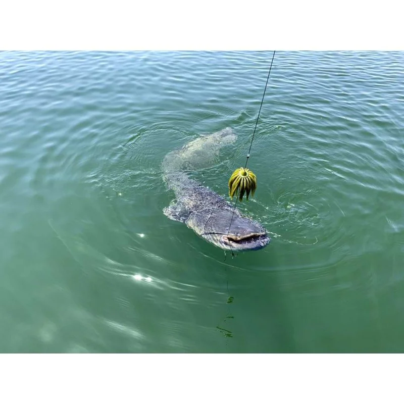 Изкуствена примамка BLACK CAT Real Worm Teaser 120g