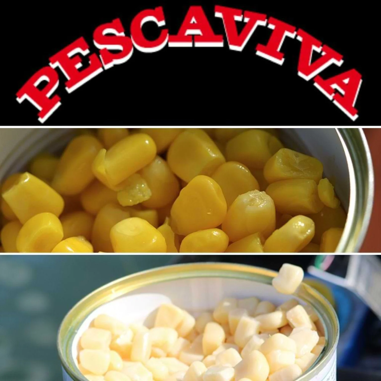 PESCA VIVA Царевица за стръв и захранка