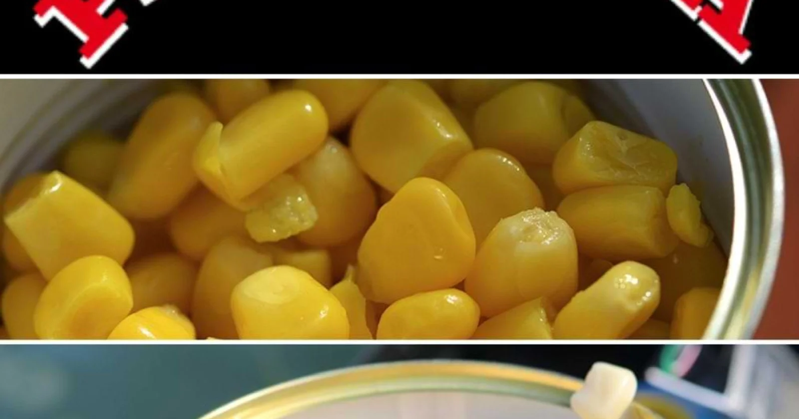 PESCA VIVA Царевица за стръв и захранка