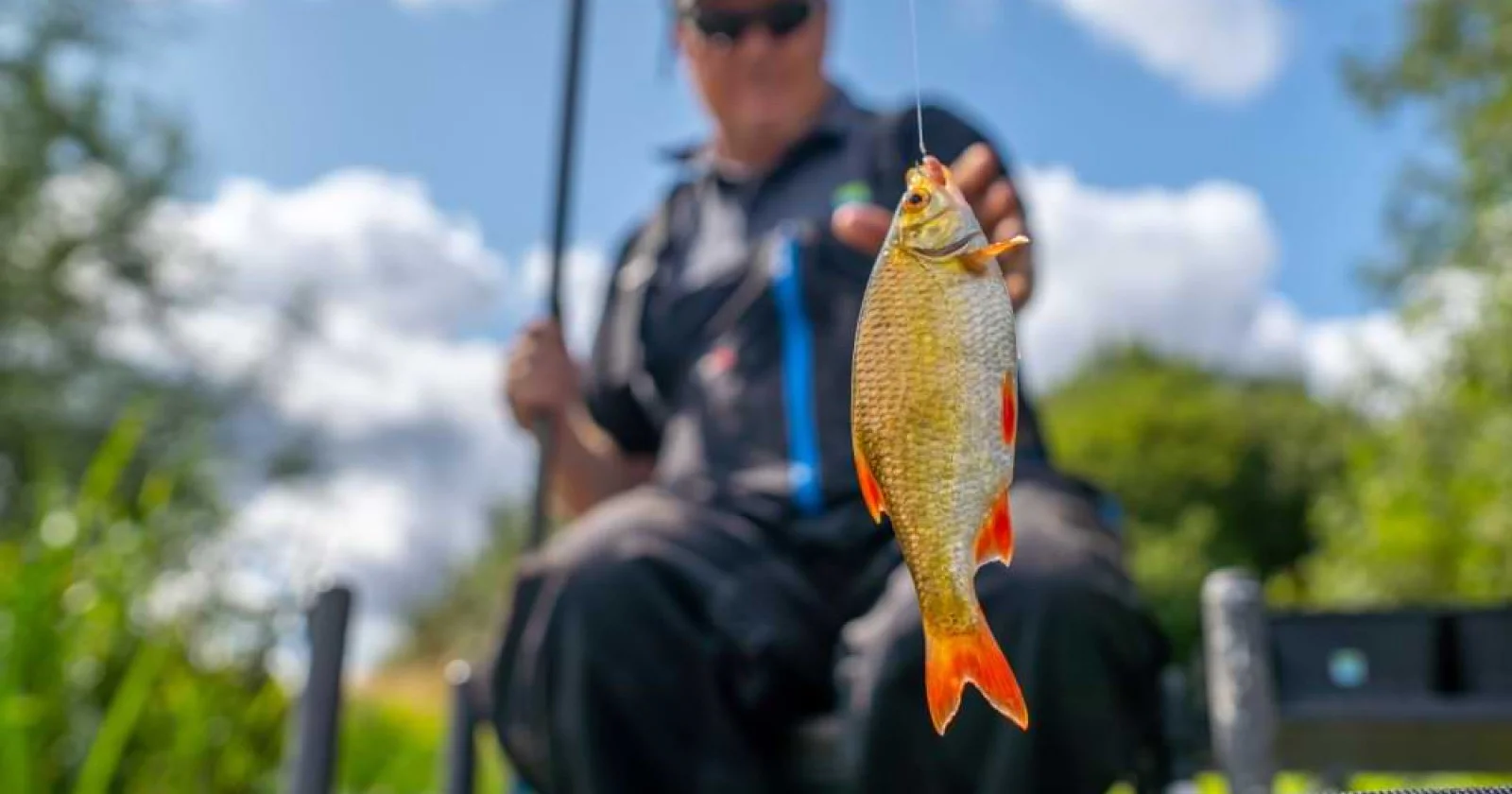 Как да ловим повече с Уип