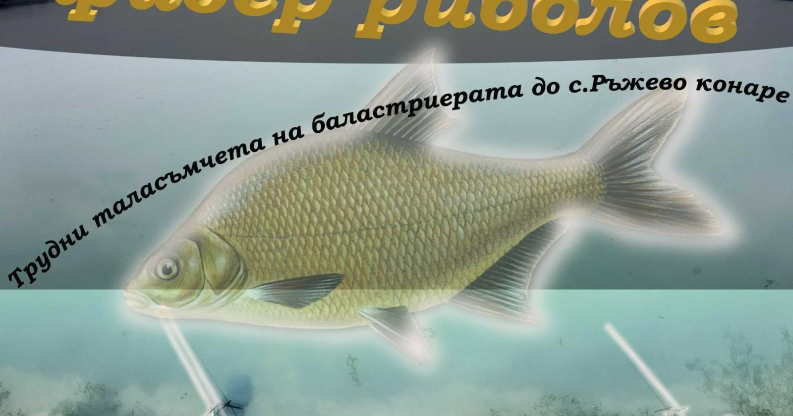 Трудни таласъмчета на баластриерата до с.Ръжево конаре