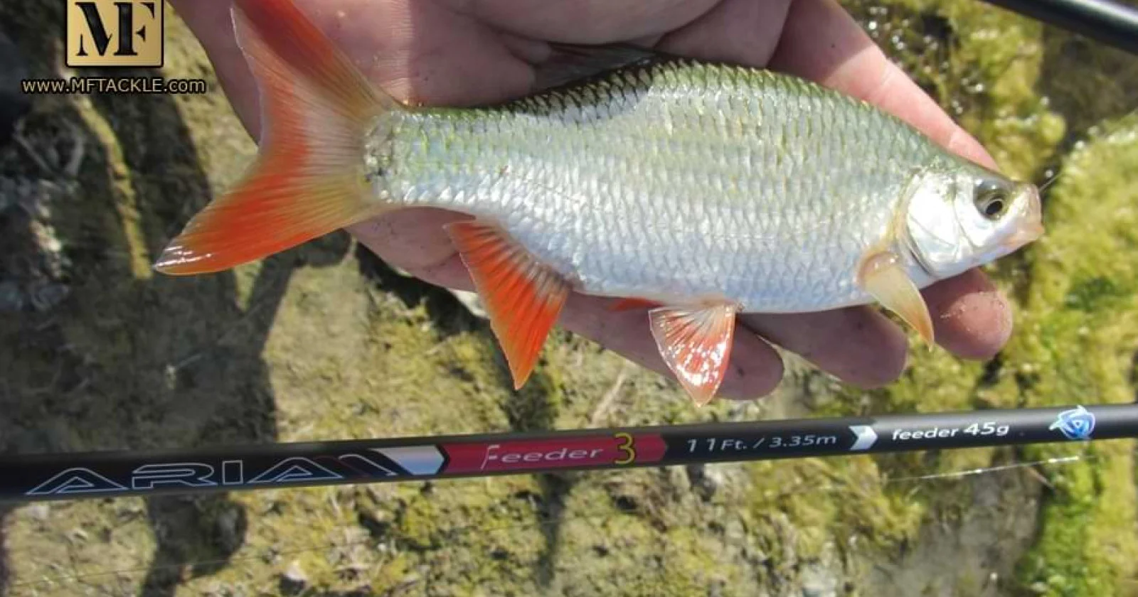 Яз.Съединение - III кръг Фидер лига Русе