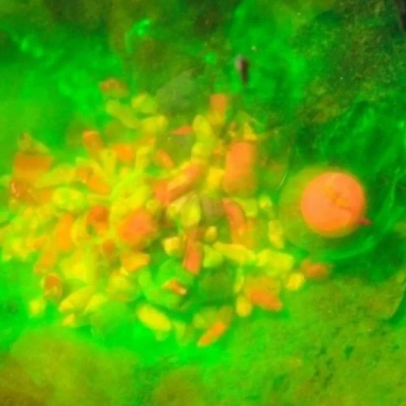 Пушещ дип CPK 3D Range Dip Honey 70ml