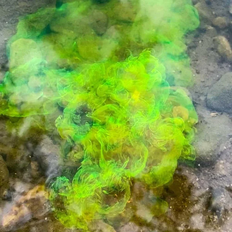 Пушещ дип CPK 3D Range Dip Honey 70ml