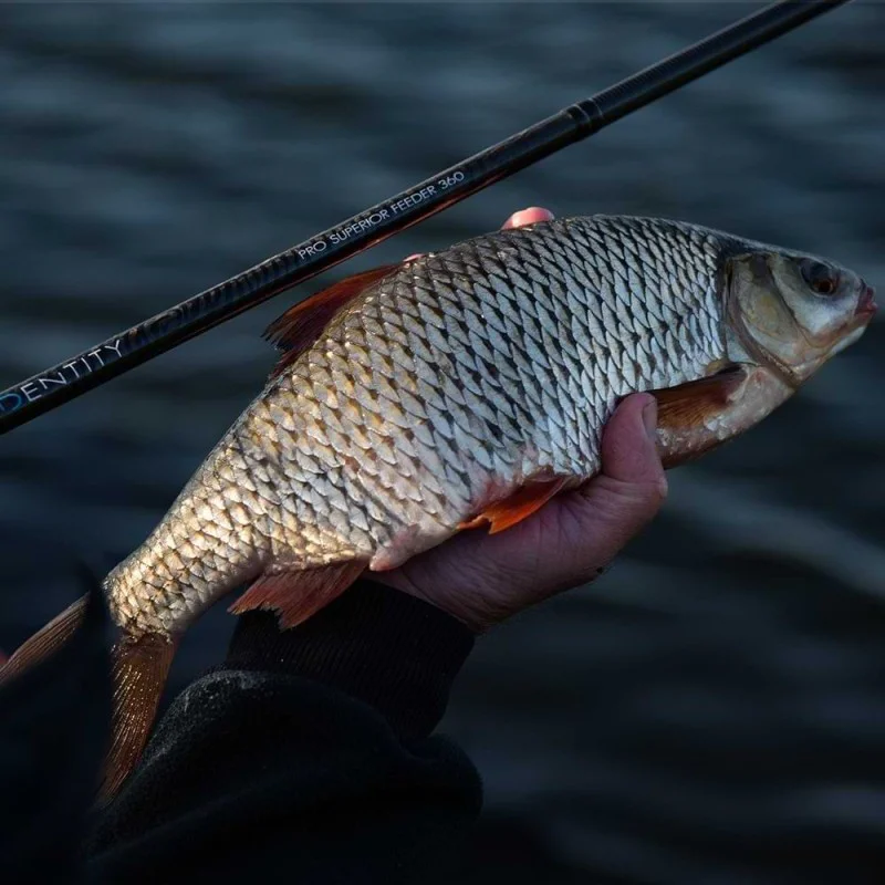 Фидер въдица CRESTA Identity Pro Superior Feeder 3.60m 30-50g