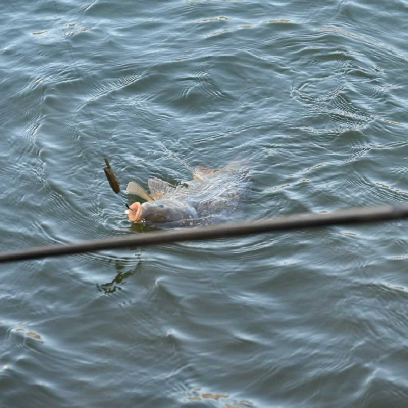 Фидер въдица CRESTA Identity Pro Superior Feeder 3.60m 30-50g