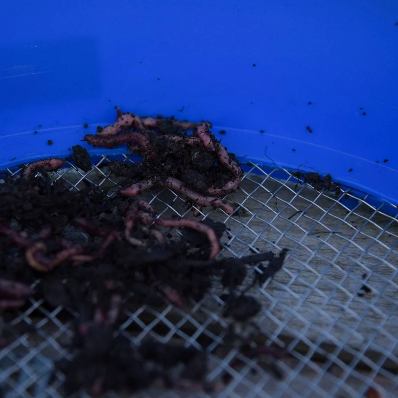 Сито CRESTA Supa Riddle Square Mesh