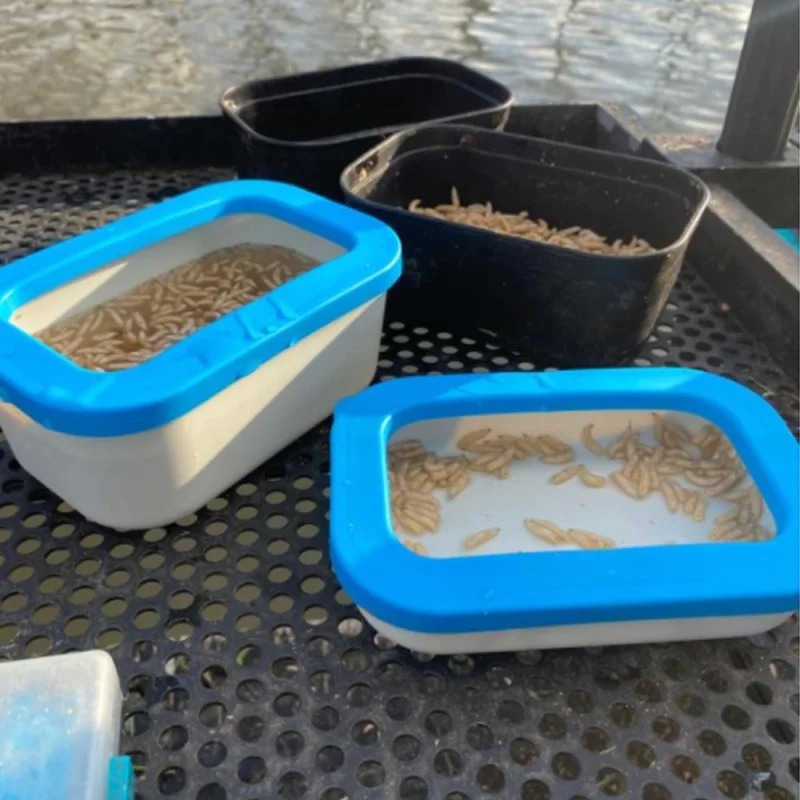 Кутия за стръв CRESTA Bait Box White Open 0,6 Ltr Lid