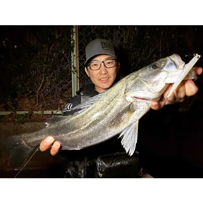 Воблер DUO Bay Ruf Manic 95 9.5cm 8g Sinking