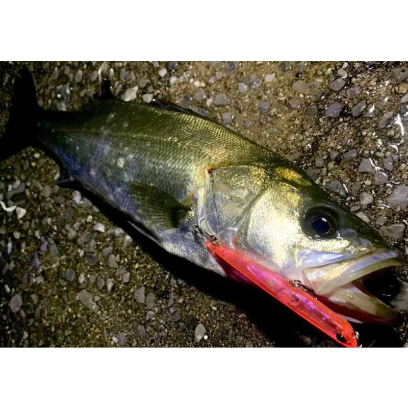 Воблер DUO Bay Ruf Manic 95 9.5cm 8g Sinking