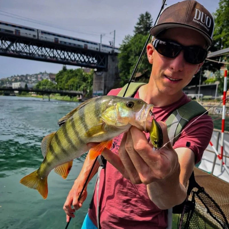 Воблер DUO Realis Crank 48SR Floating 48mm 7g