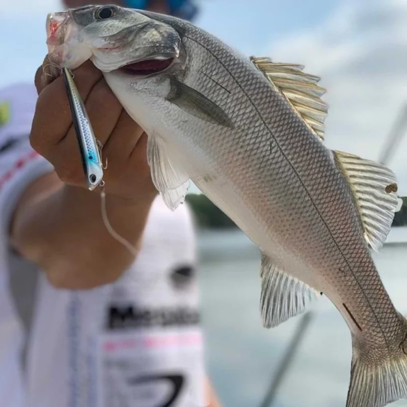 Воблер DUO Bay Ruf Manic 75 7.5cm 7.6g Sinking