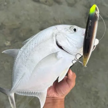 Воблер DUO Realis Pencil 130 SW Limited 130mm 31.6g Floating