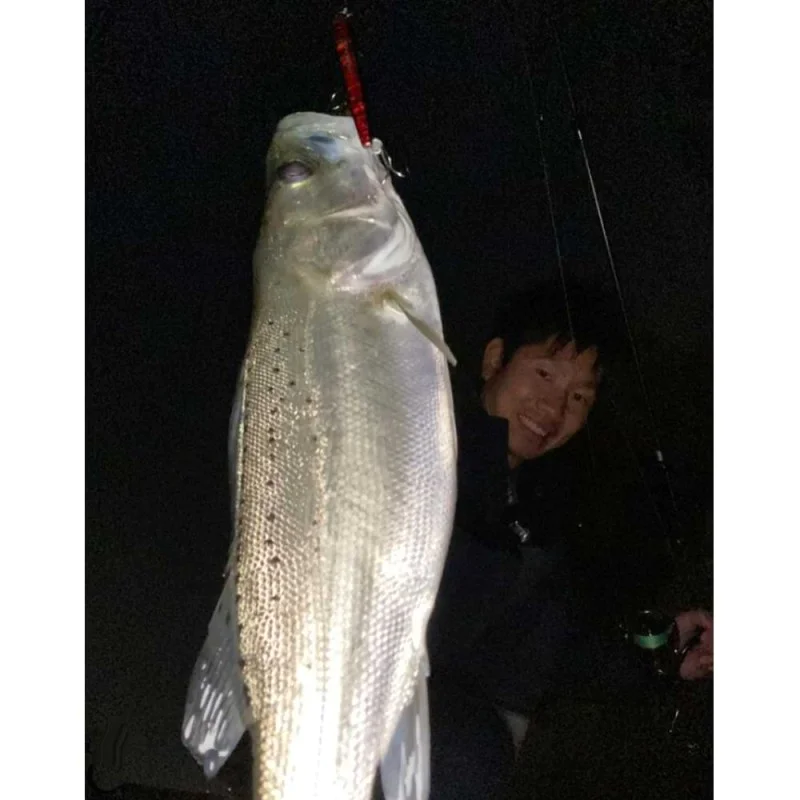 Воблер DUO Bay Ruf Manic 155 15.5cm 27.5g Sinking