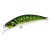 Green Mackerel - - КОД : 4525918128685 