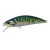 Green Mackerel - - КОД : 4525918128708 