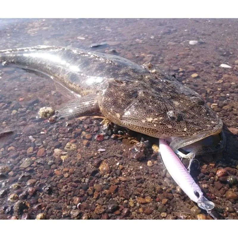 Воблер DUO Beach Walker Axcion Slim 105 10.5cm 33g Sinking