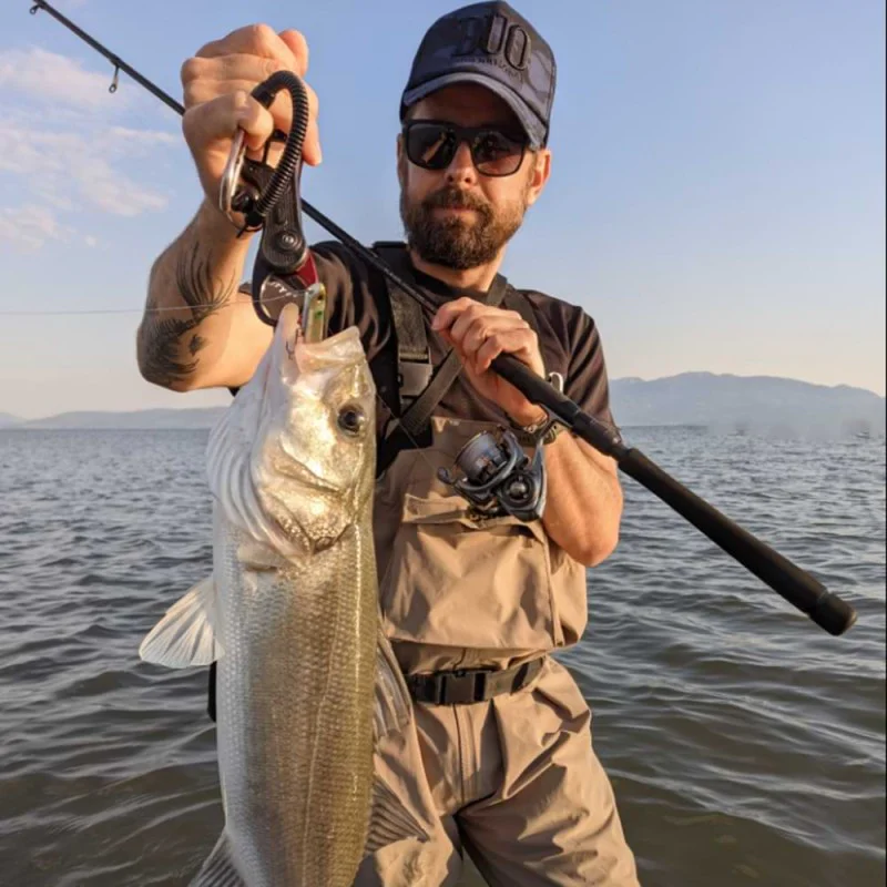 Воблер DUO Bay Ruf Manic 115 11.5cm 16g Sinking