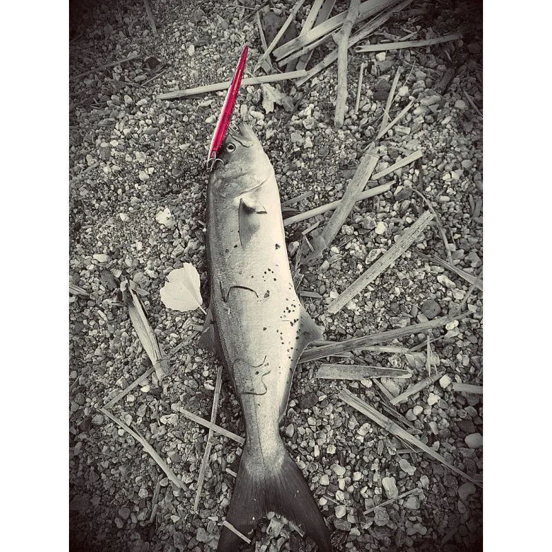 Воблер DUO Rough Trail Hydra 220 Slow Sinking 58.2g