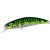 Green Mackerel - - КОД : 4525918128524 