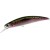 Rainbow Trout - - КОД : MCC4036110S 