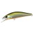 Tennessee Shad - - КОД : 4525918133320 