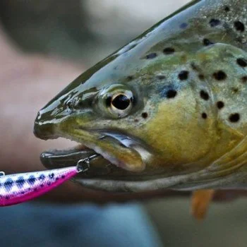 Воблер DUO Spearhead Ryuki - 50S Takumi