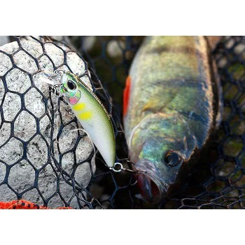 Воблер DUO Spearhead Ryuki - 45S Single Hook