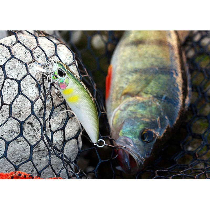 Воблер DUO Spearhead Ryuki - 45S Single Hook
