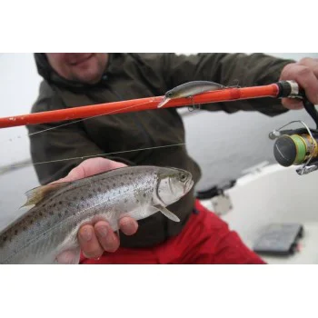 Воблер DUO Spearhead Ryuki - 60S SW