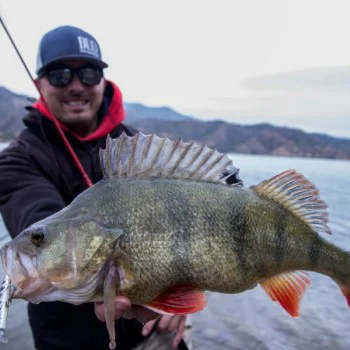 Воблер DUO Spearhead Ryuki - 60S Awabi