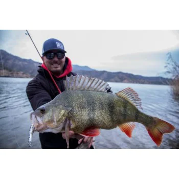 Воблер DUO Spearhead Ryuki - 60S M Aire