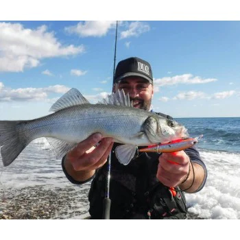 Воблер DUO Spearhead Ryuki - 110S SW