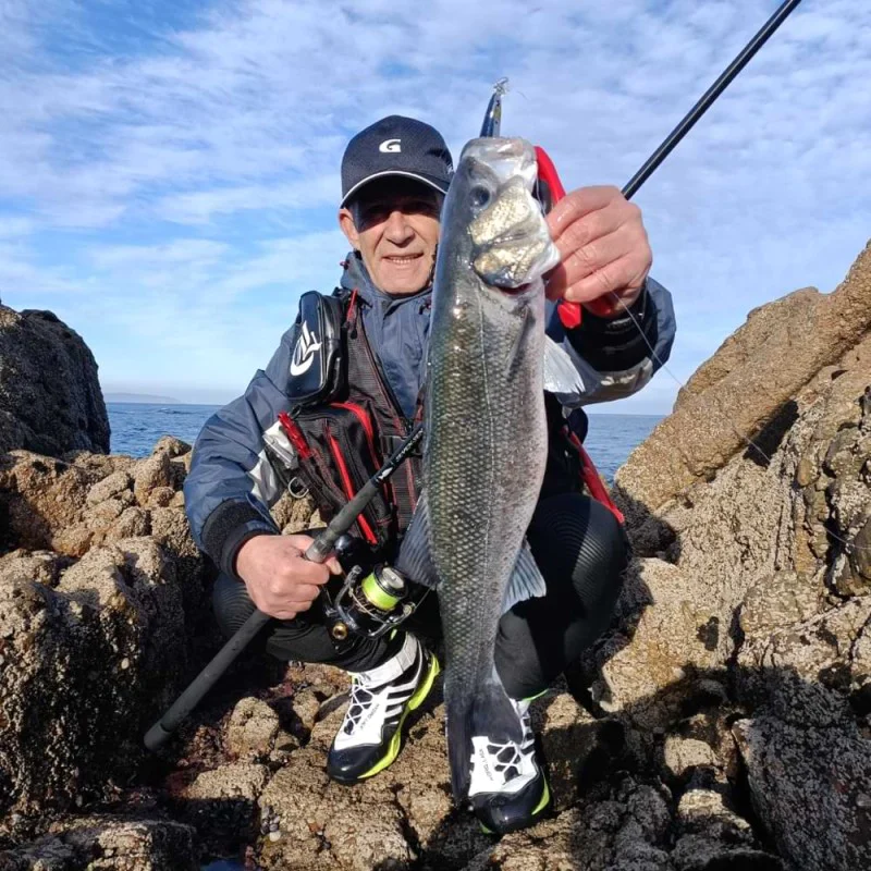 Воблер DAIWA Shore Line Shiner-Z Vertice R Laser Impact 125SF 125mm 20.5g Slow Floating