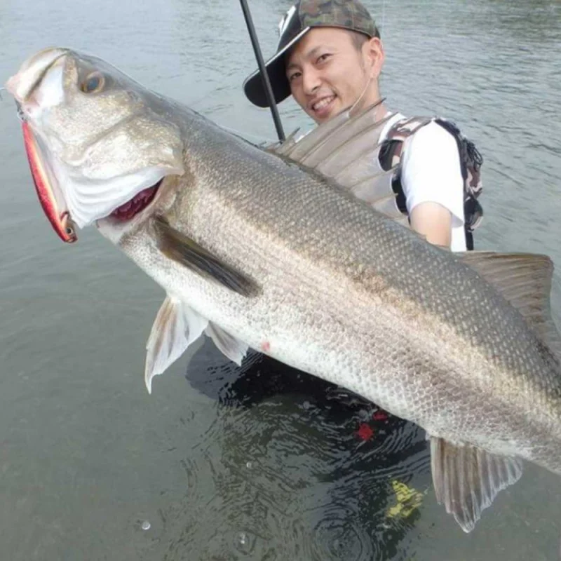 Воблер DAIWA Morethan Salt Pencil Laser Impact 110F 110mm 19g Floating