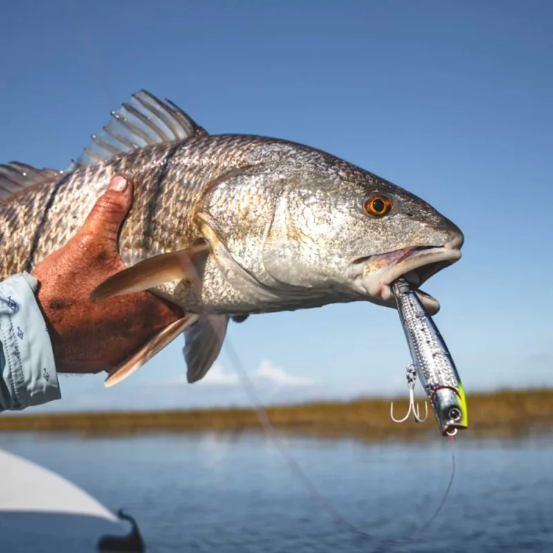 Воблер DAIWA Morethan Salt Pencil Laser Impact 110F 110mm 19g Floating