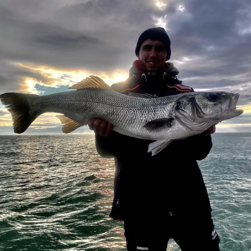 Воблер DAIWA Morethan Switch Hitter Laser Impact 105F 105mm 20g Floating