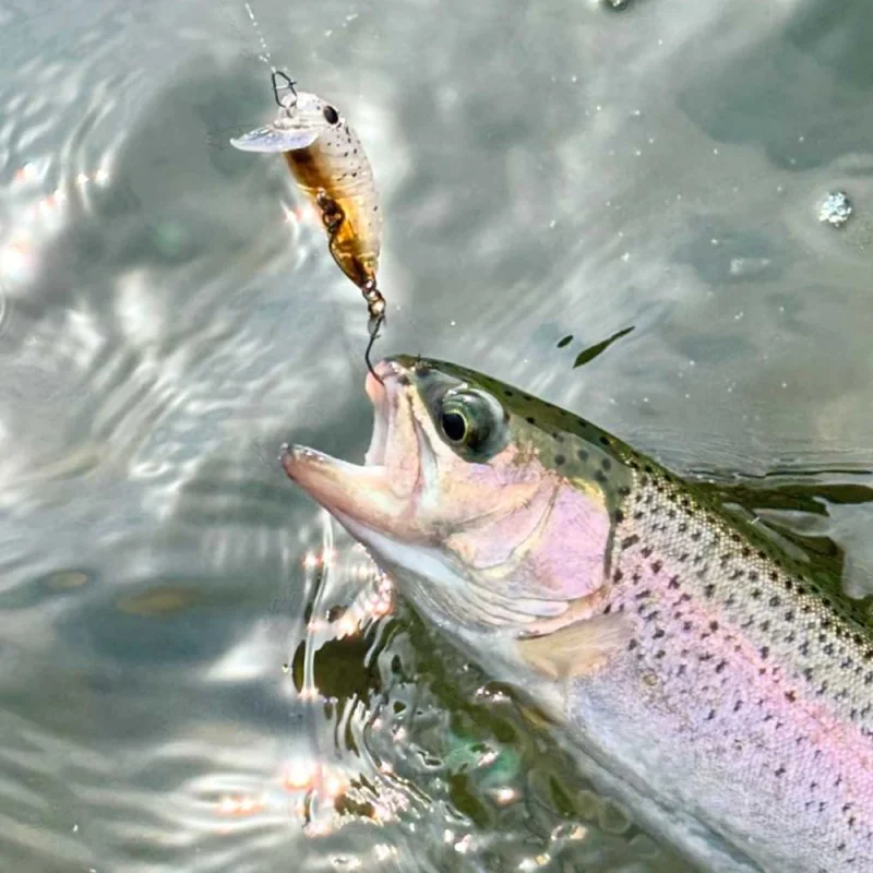 Воблер DAIWA Presso Wabcra Slim 39F SR 39mm 2.5g Floating