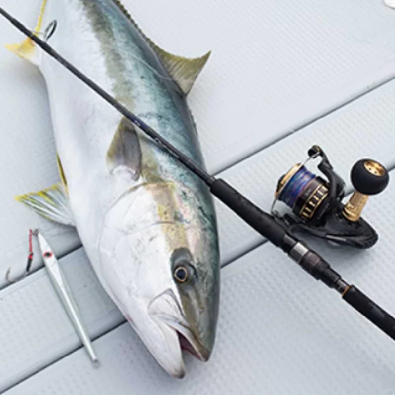 Макара преден аванс DAIWA 23 BG SW 14000-H